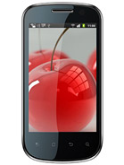 Best available price of Celkon A19 in Argentina