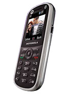 Best available price of Motorola WX288 in Argentina
